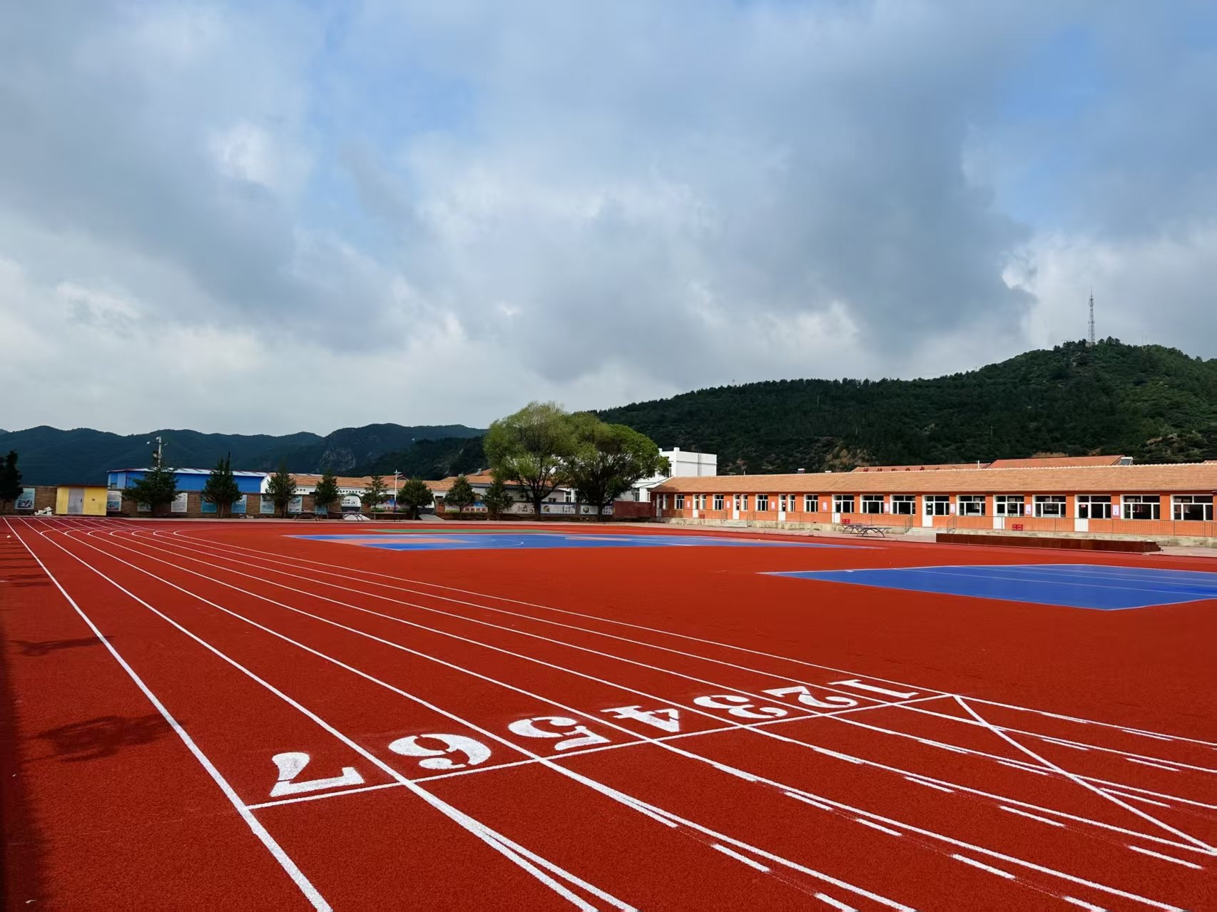 廊坊市自结纹塑胶跑道人造草坪 - 哪里好
